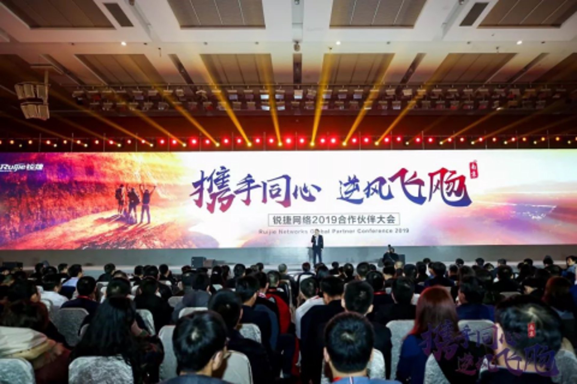风飞网络